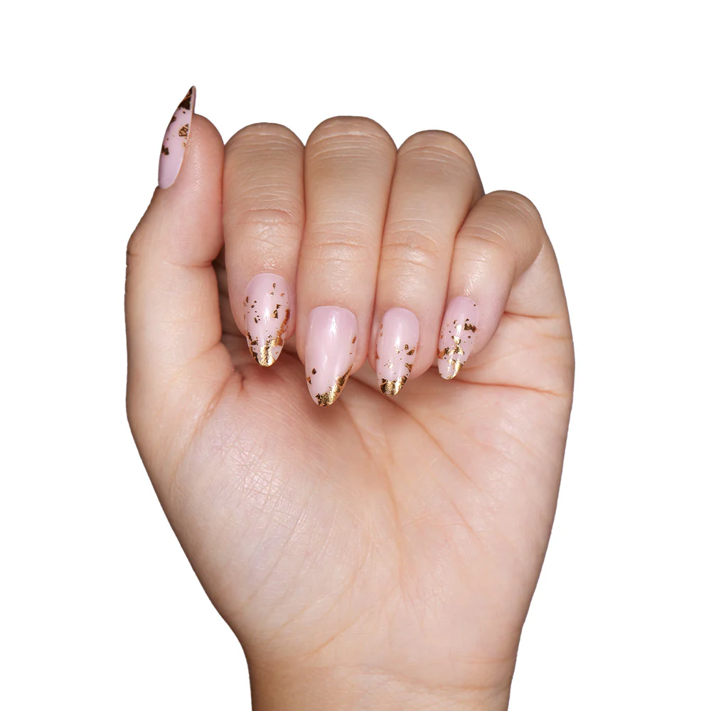 24K - Image 5
