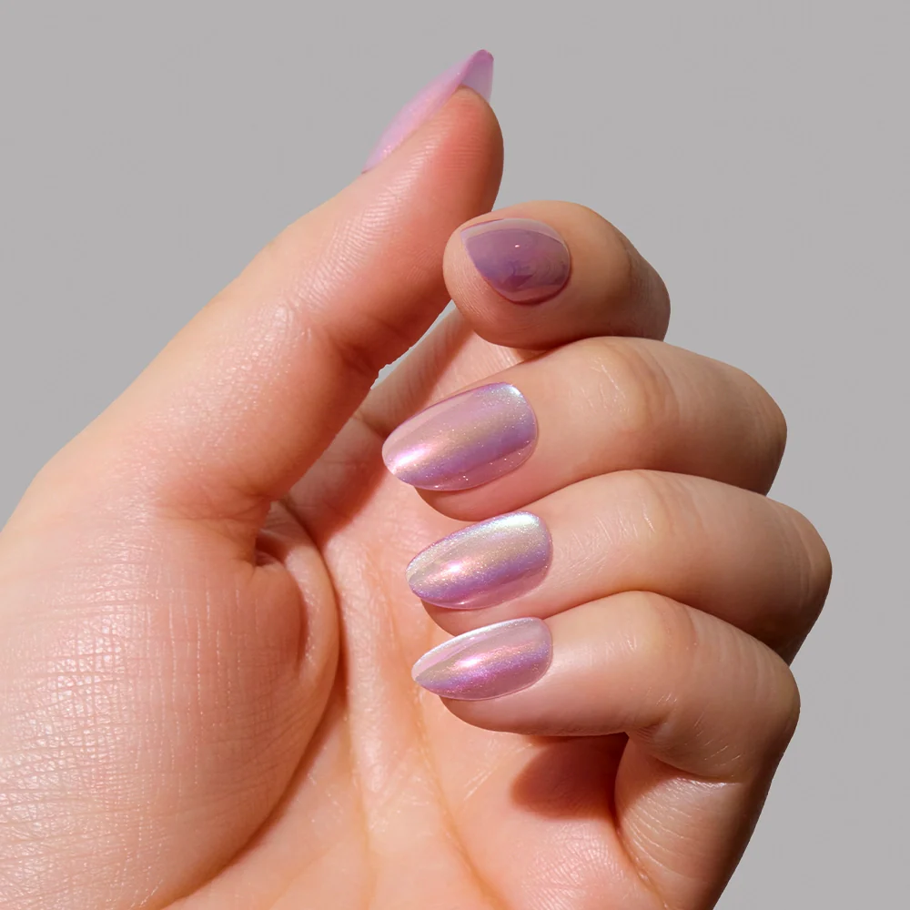 Oyster - Image 4